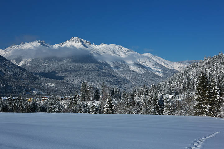 Альпы