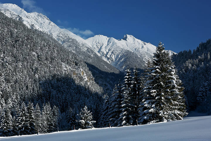 Альпы