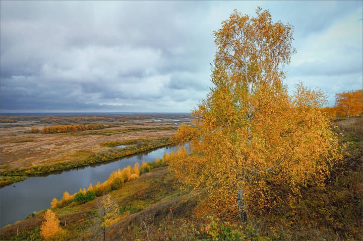 Картинка осенняя...
