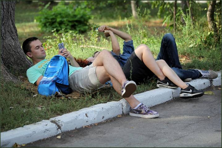 В сетях