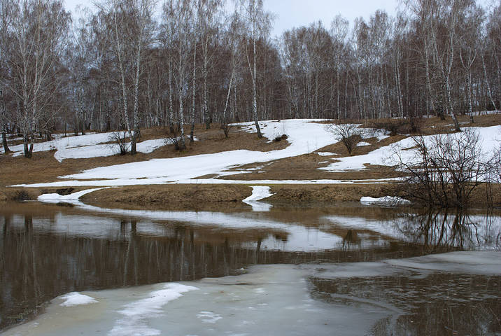 Ненастный день апреля