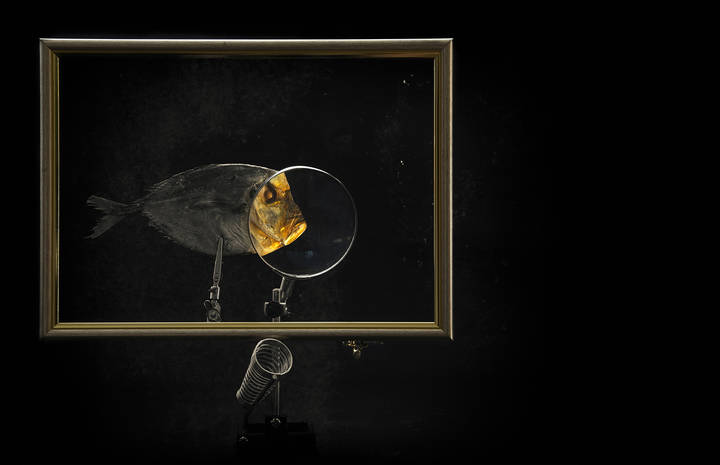 Вомер в рамке