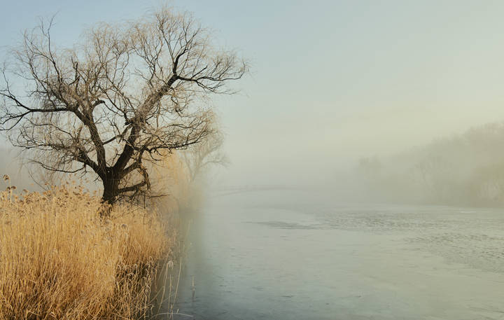 Солнечное утро