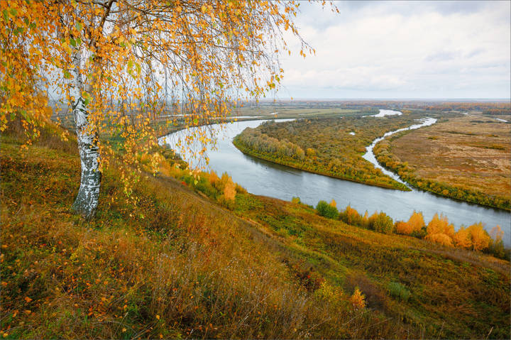 "Унылая пора, очей очарованье..." ©