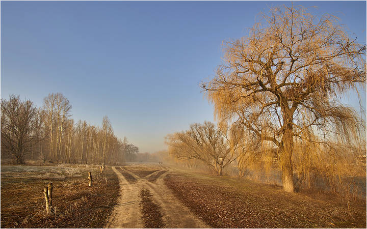 Дороги