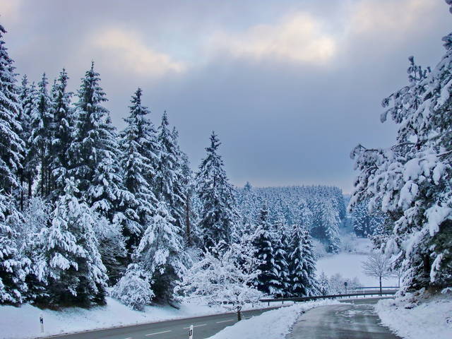 Зимние мотивы.