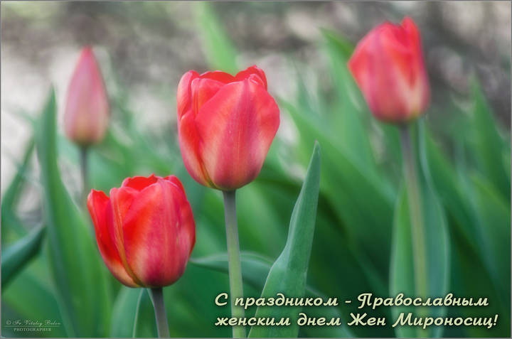 С праздником дорогие о Господе сестры Святых Жён мироносиц!