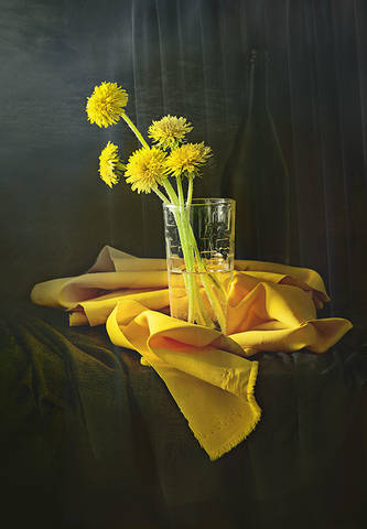 одуванчики (весна)