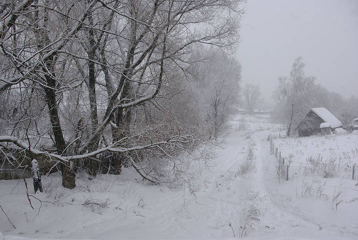 В разгаре зимы.