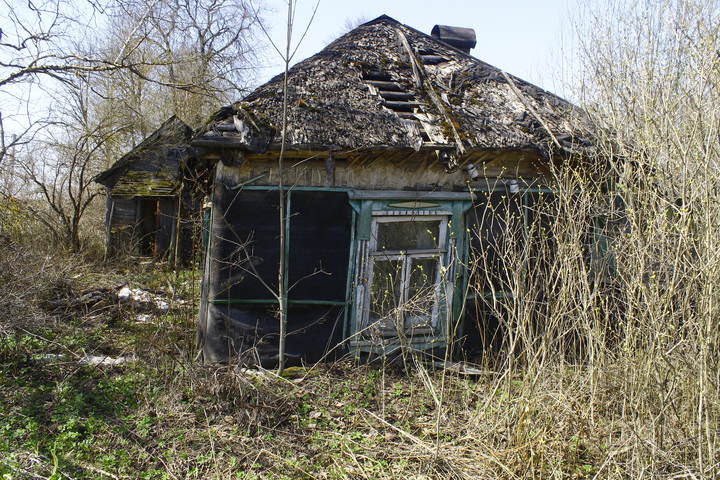 дер.Цыплино (Можайский район/Московская область)