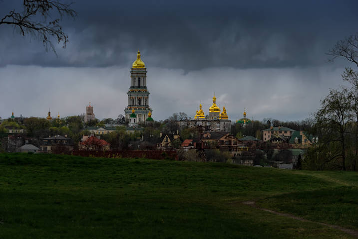 Лавры виды