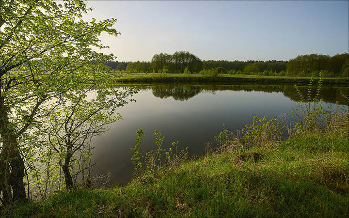 Тишь и гладь