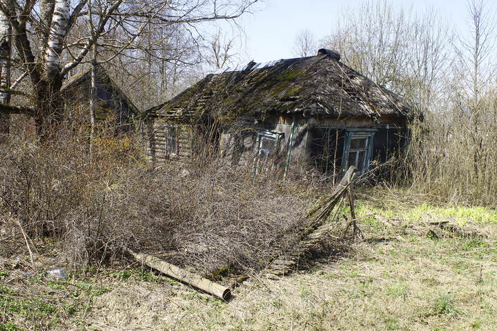 дер.Цыплино (Можайский район/Московская область)