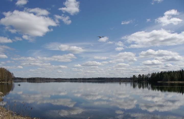 Рыбалка