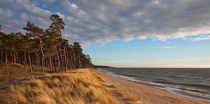 Весенняя прогулка