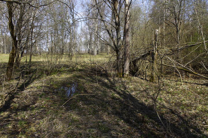 Весна в Подмосковье