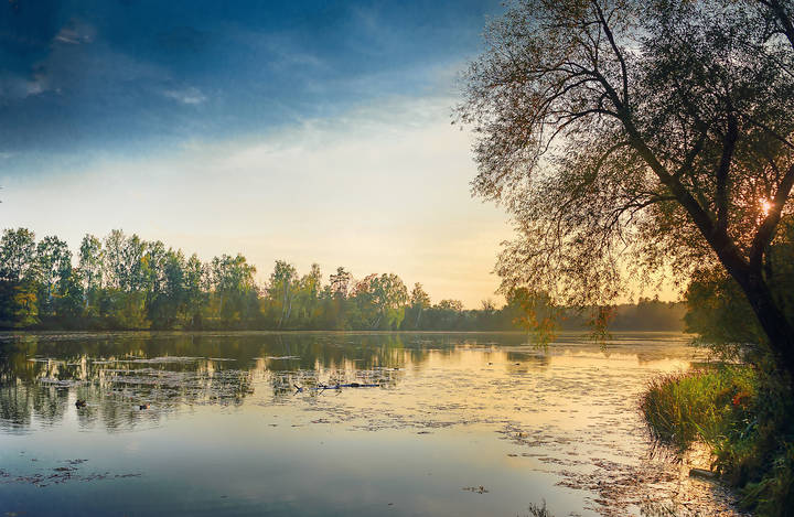 Старица реки Москвы