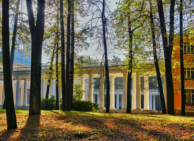 Архангельское