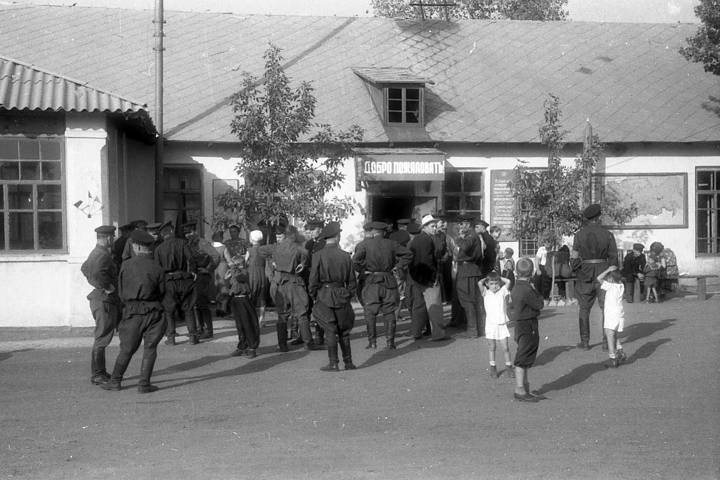 Выборы