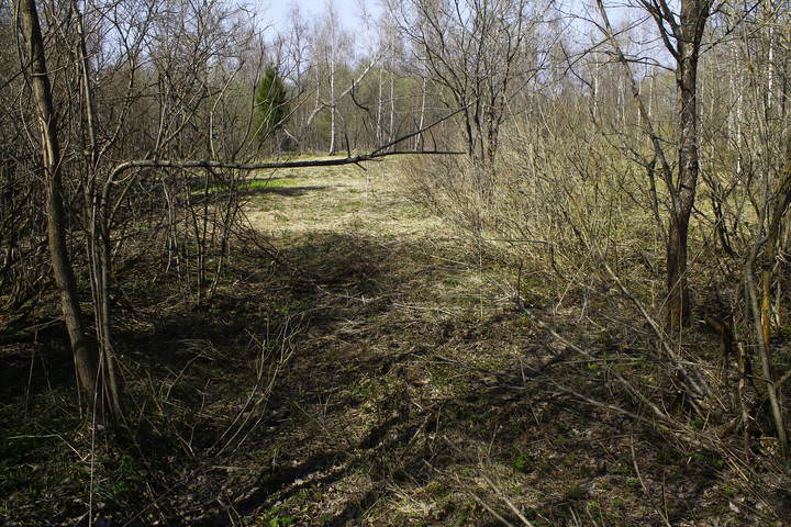 Весна в Подмосковье