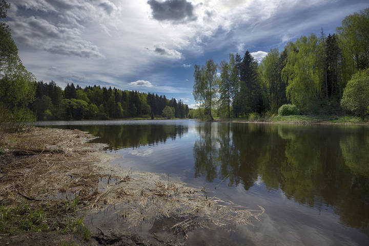 Учинская гавань