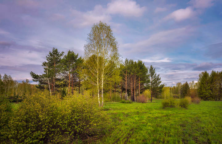 В весеннем парке...