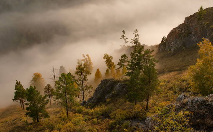 С первыми лучами