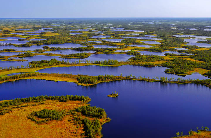 Край озёр и моховых болот...