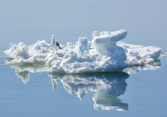 mini iceberg