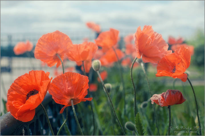 # 1
