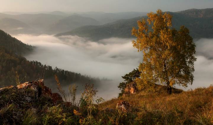 Просыпается природа..