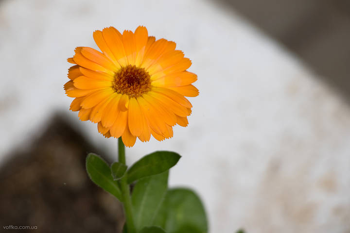59401b89e2cfda3446774c5a