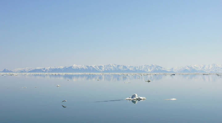 Охотское море
