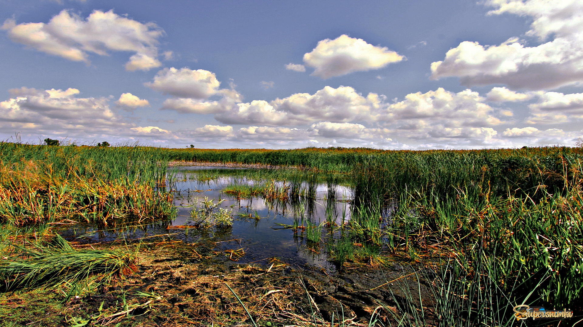 Российские болота
