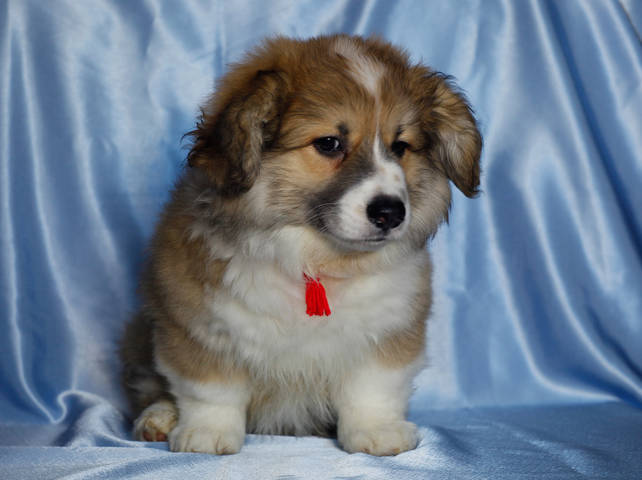 # 2