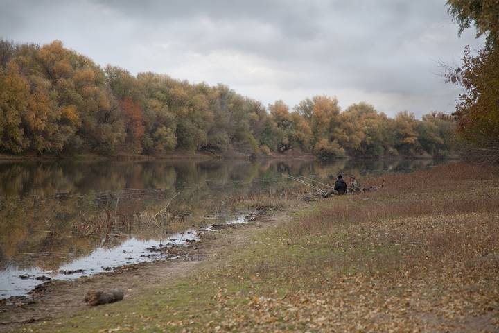 Рыбалка