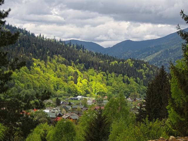 Карпатское село