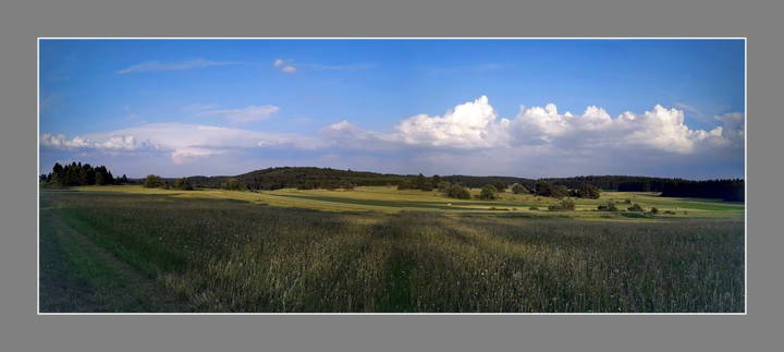 Июньская  панорама.