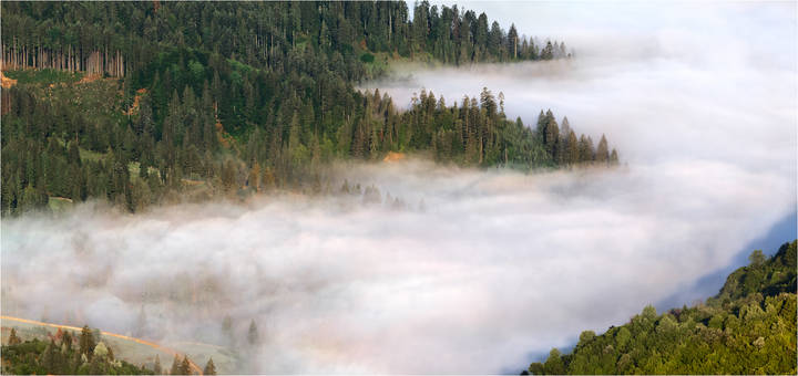 Молочные реки