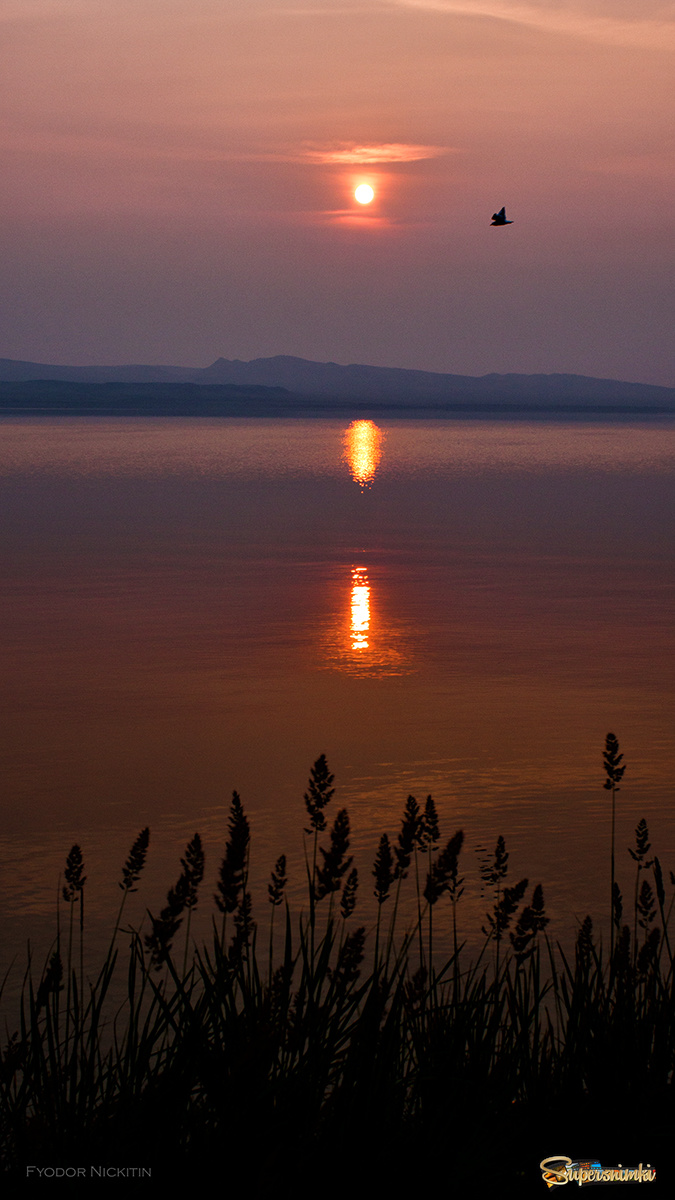 "Утро на озере Шира"