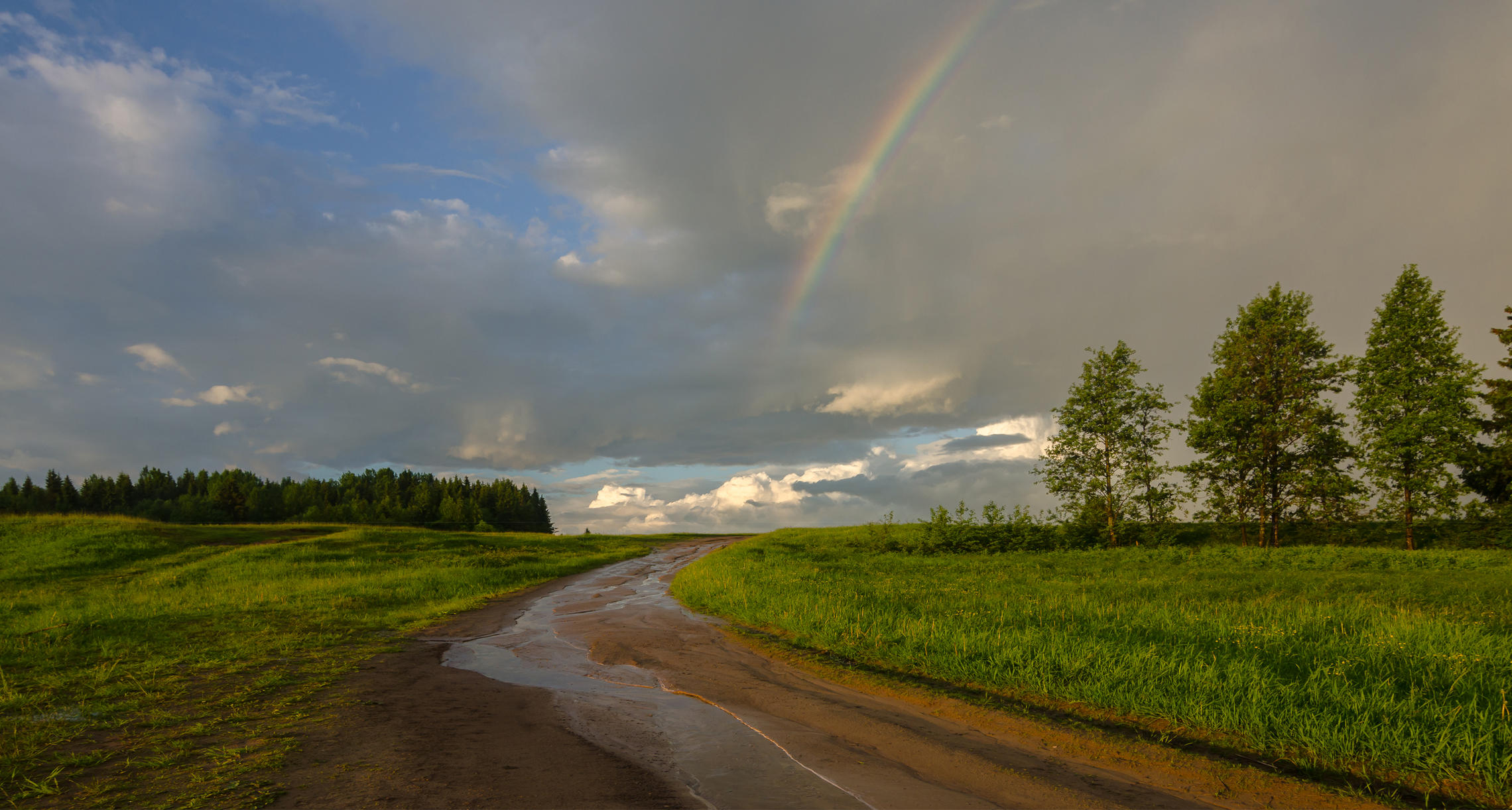 Фото после грозы