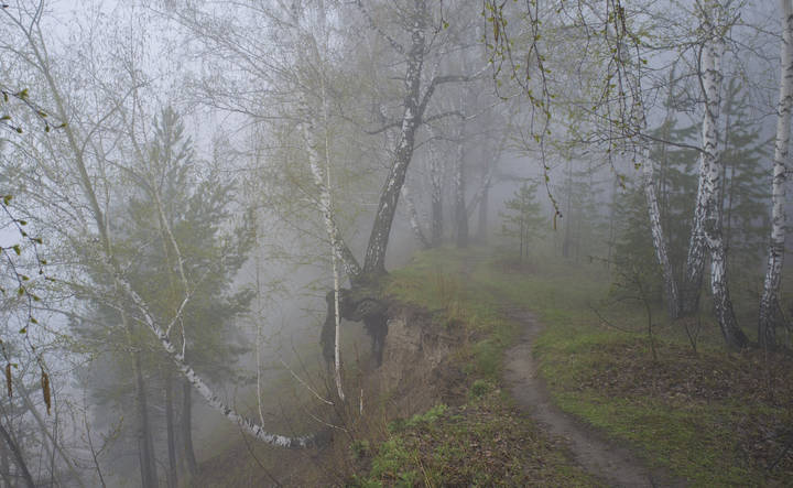 На краю тумана