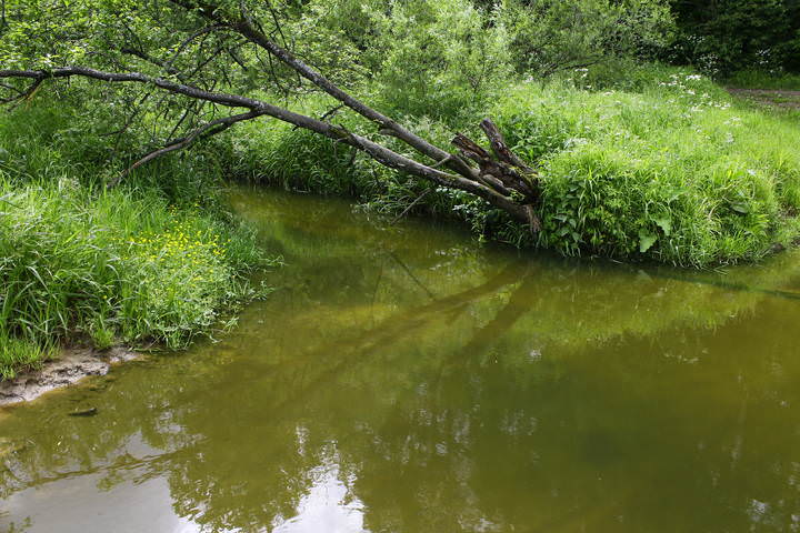 река Чаченка в селе Ромашково
