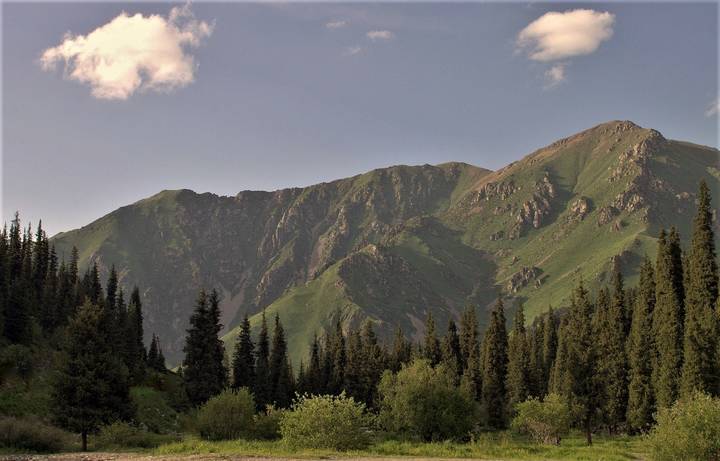 Бархатная гора.