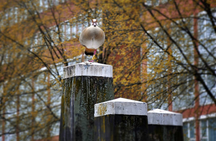 # 3