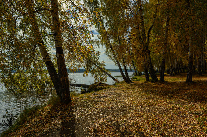 Берег озера