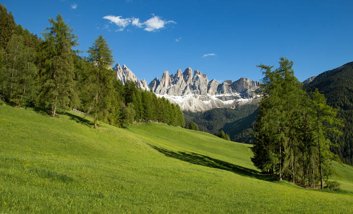 Delle Odle.