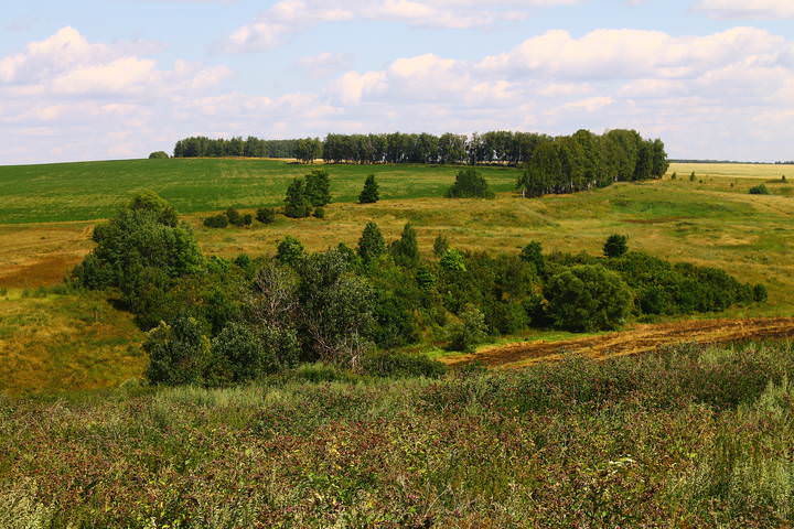 В окрестностях Зарайска (Московская область)