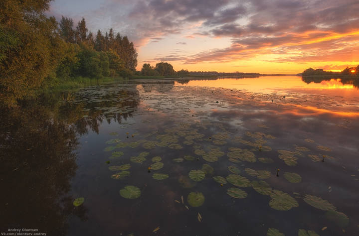 Ласковое утро.