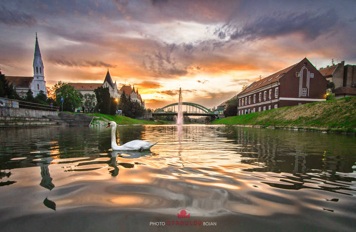 Zrenjanin